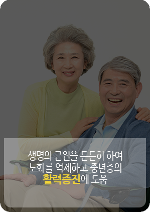 활력증진